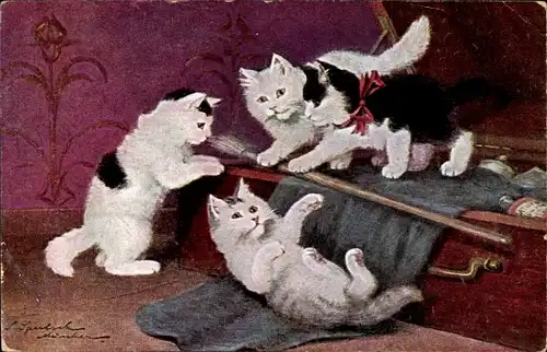 Künstler Ak Sperlich, Verspielte Katzen, Vorhang
