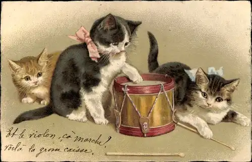 Ak Katzen und Trommel, Musikinstrument, Hauskatzen