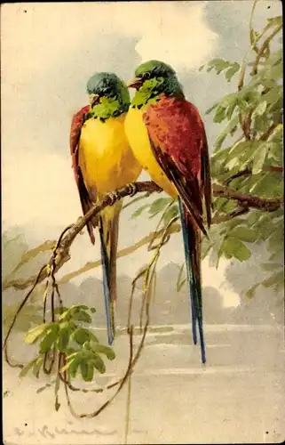 Künstler Ak Klein, C., Zwei Papageien auf dem Zweig