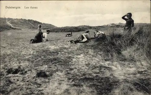 Ak Duinbergen Knokke Heist Westflandern, Die Dünen