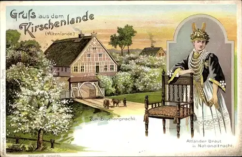 Litho Kirschenland, Blütenpracht, Altländer Braut in Tracht