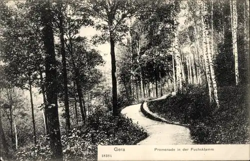 Ak Gera in Thüringen, Promenade in der Fuchsklamm