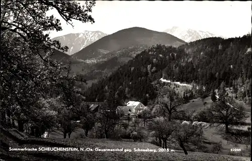 Ak Scheuchenstein Niederösterreich, Gauermannhof, Schneeberg