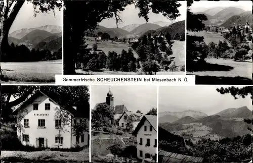 Ak Scheuchenstein Miesenbach Niederösterreich, Teilansichten