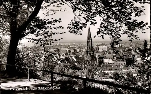 Ak Freiburg im Breisgau, Gesamtansicht, Schlossberg