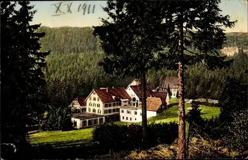 Ak Baiersbronn im Schwarzwald, Ruhestein