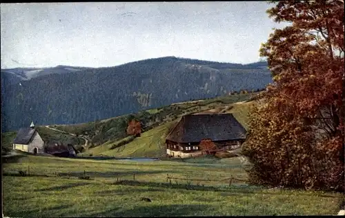 Ak Triberg im Schwarzwald, Hohnen, Panorama