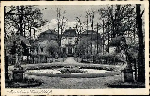 Ak Meuselwitz Thüringen, Schloss mit Teich