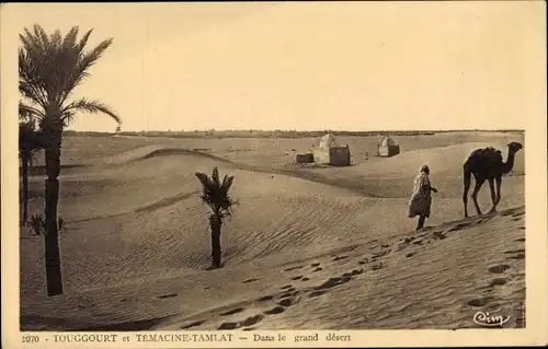 Ak Touggourt Algerien, Wüste, Einheimischer, Dromedar