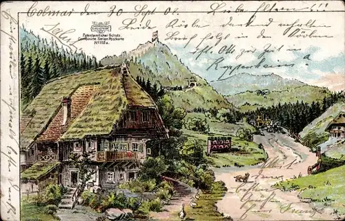 Künstler Ak Elsass, Ländliche Szene, Bauernhaus