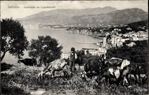 Ak Sorrento Campania, Panorama da Capodimonte