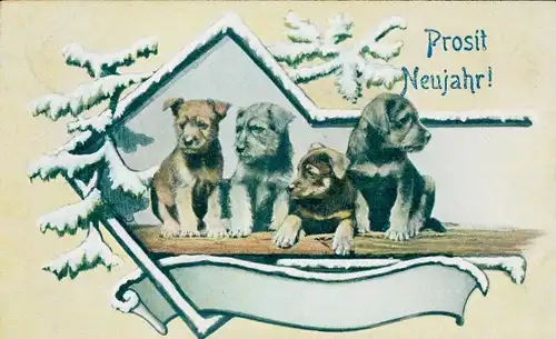 Ak Glückwunsch Neujahr, Vier junge Hunde, Welpen