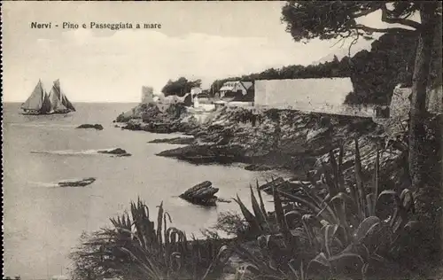Ak Nervi Genova Genua Liguria, Pino e Passeggiata a mare