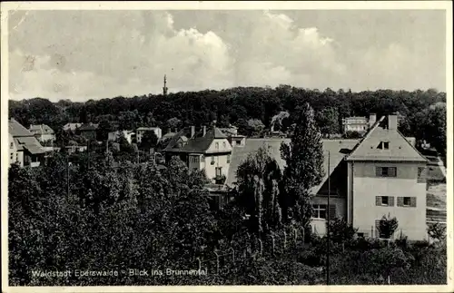 Ak Eberswalde im Kreis Barnim, Brunnental