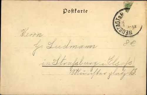 Ak Neustadt an der Haardt Neustadt an der Weinstraße, Totale, Neujahrsglückwunsch