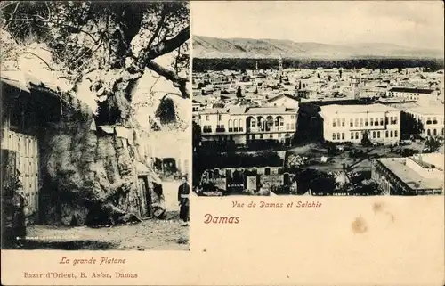 Ak Damas Damaskus Syrien, Panorama, Salahie, Grande Platane