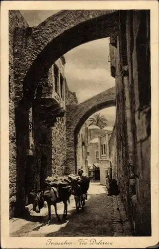 Ak Jerusalem Israel, Via Dolorosa, Gasse, Mann mit Eseln