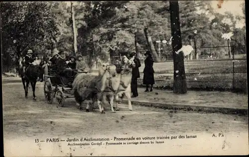 Ak Paris XVI, Jardin d’Acclimatation, Fahrt in einem von Lamas gezogenen Auto