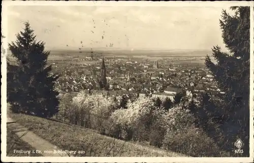 Ak Freiburg im Breisgau, Blick vom Schlossberg