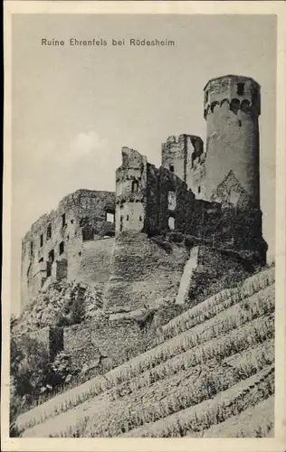 Ak Rüdesheim am Rhein, Ehrenfels, Ruine