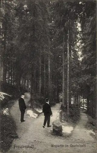 Ak Freudenstadt im Schwarzwald, Wegpartie, Teuchelwald