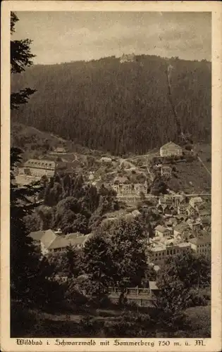 Ak Bad Wildbad im Schwarzwald, Panorama, Sommerberg