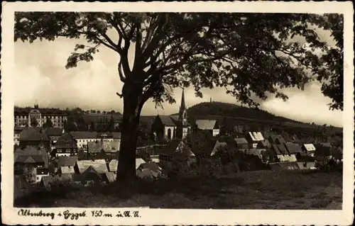 Ak Altenberg im Erzgebirge, Gesamtansicht, Kirche