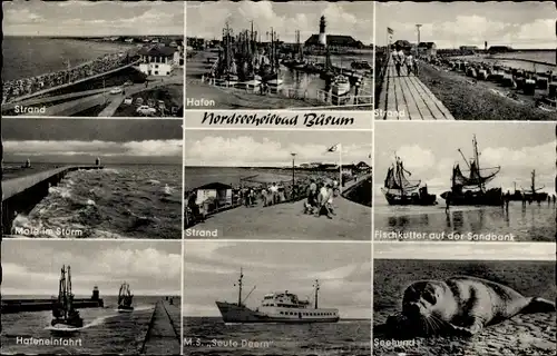 Ak Nordseebad Büsum, Strand, Hafen, Fischkutter, Sandbank, Mole im Sturm, MS Seute Deern, Seehund