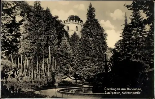 Ak Überlingen am Bodensee, Stadtgarten, Kakteenpartie