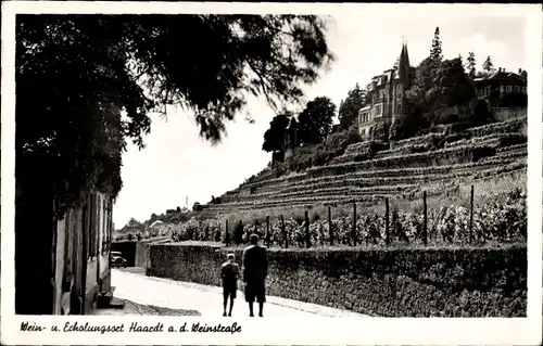 Ak Haardt an der Weinstraße Neustadt a. d. W., Weinberg, Passanten