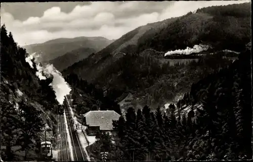 Ak Seelenwald Kanzach Kreis Biberach, Eingang in Haldentunnel, Lokomotive