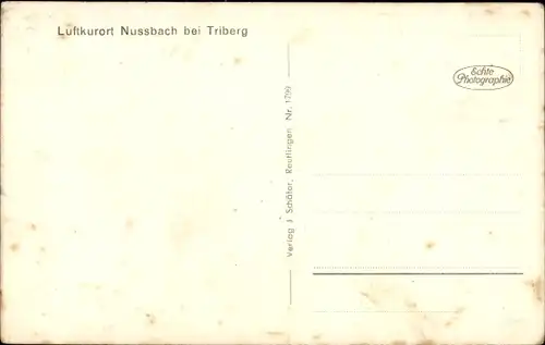 Ak Nussbach Nußbach an der Schwarzwaldbahn Triberg Schwarzwald, Gesamtansicht