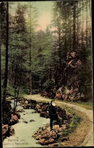 Ak Bad Peterstal Griesbach im Schwarzwald Baden, wildes Renchtal, Wald, Bach