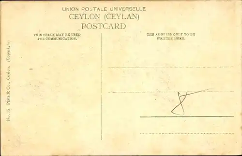 Ak Ceylon Sri Lanka, Tea Pluckers, Teeernte