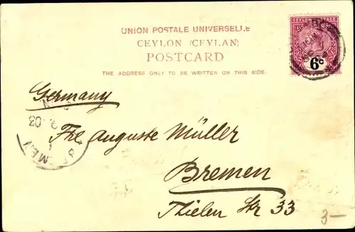 Ak Colombo Ceylon Sri Lanka, Tea Pluckers, Teepflückerinnen