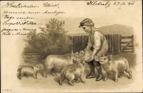 Litho Junge füttert Schweine, Ferkel