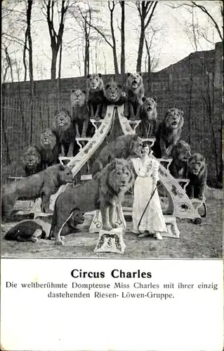 Ak Circus Charles, Dompteuse Miss Charles mit ihren Löwen