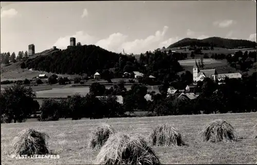 Ak Pulst Liebenfels in Kärnten, Gesamtansicht