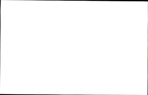 Ak Schauspielerin Nadja Tiller, Portrait, Autogramm