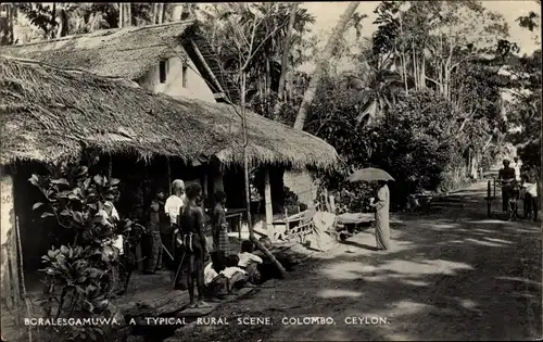 Ak Boralesgamuwa Colombo Ceylon Sri Lanka, eine typische ländliche Szene