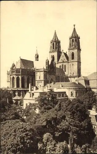 Ak Magdeburg an der Elbe, Dom