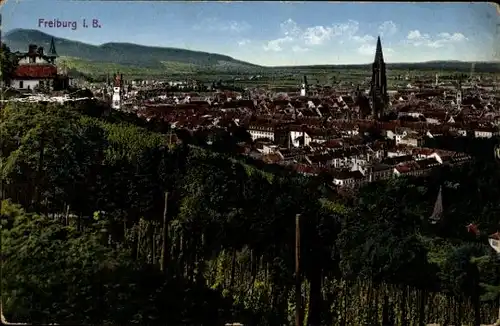 Ak Freiburg im Breisgau, Ortspanorama