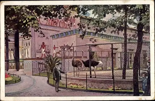 Ak Berlin Tiergarten, Zoologischer Garten, Straußenhaus
