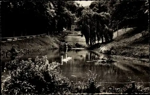 Ak Auerbach Bensheim an der Bergstraße Hessen, Fürstenlager, Schwanenteich