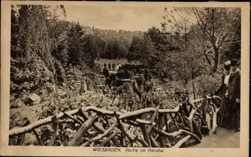Ak Wiesbaden in Hessen, Nerotal
