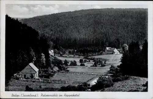 Ak Brilon im Hochsauerlandkreis, Pulvermühle im Hoppecketal, Waldlandschaft