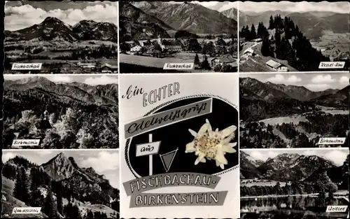 Ak Birkenstein Fischbachau in Oberbayern, Wolfsee, Bärenstein, Edelweiß