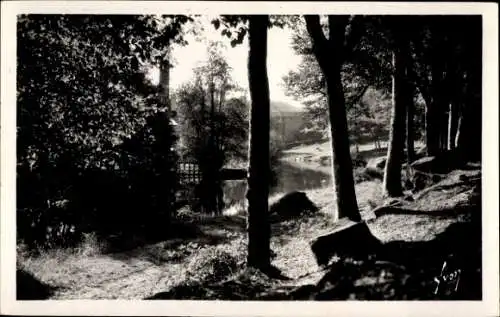 Ak Pont Aven Finistère, Gesamtansicht des Bois d’Armour