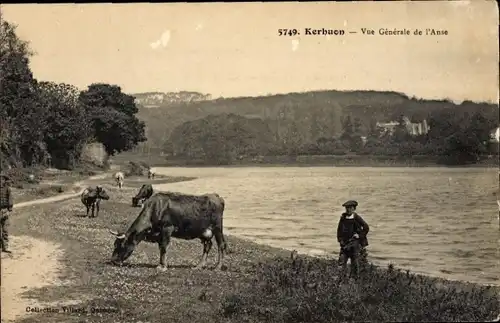 Ak Le Relecq Kerhuon Finistère, Gesamtansicht der Bucht, Kühe