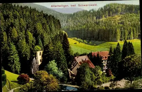 Ak Allerheiligen Oppenau im Schwarzwald, Panorama